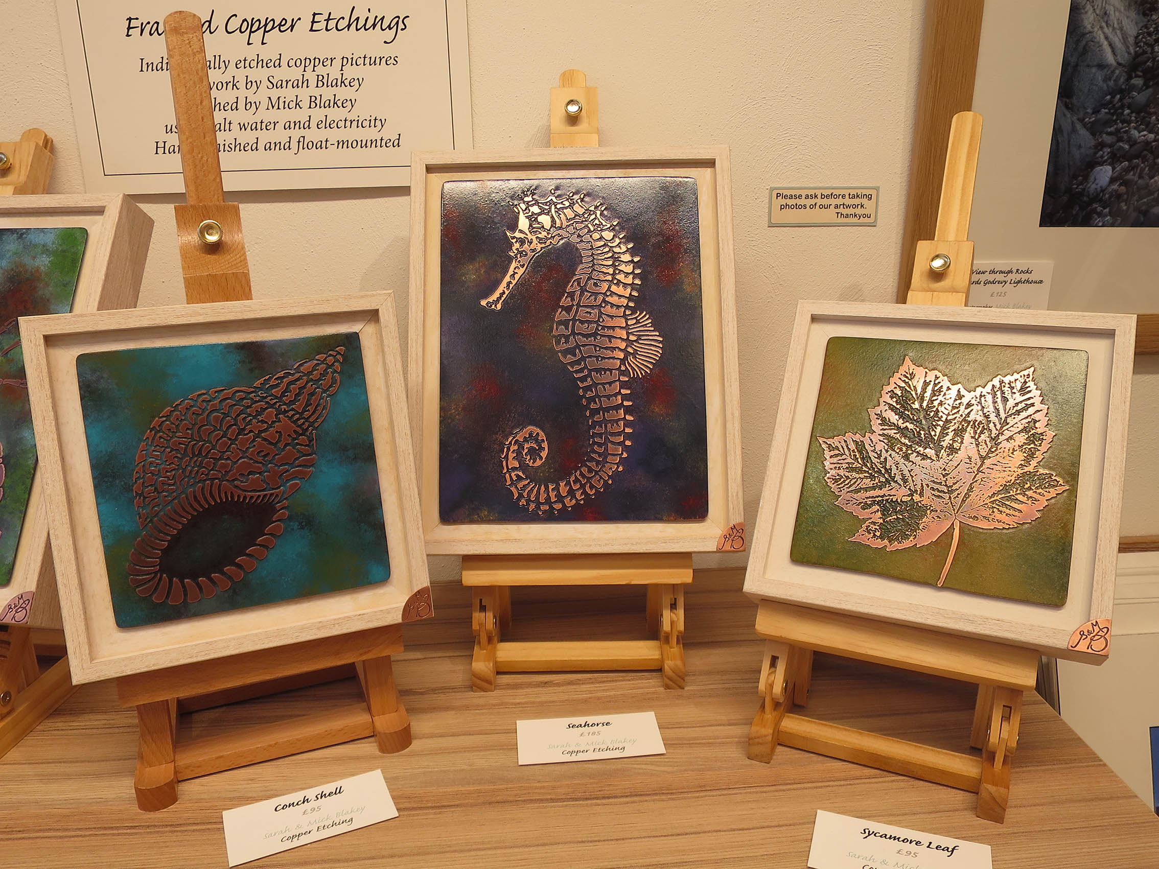 Copper_Etchings_Seahorse